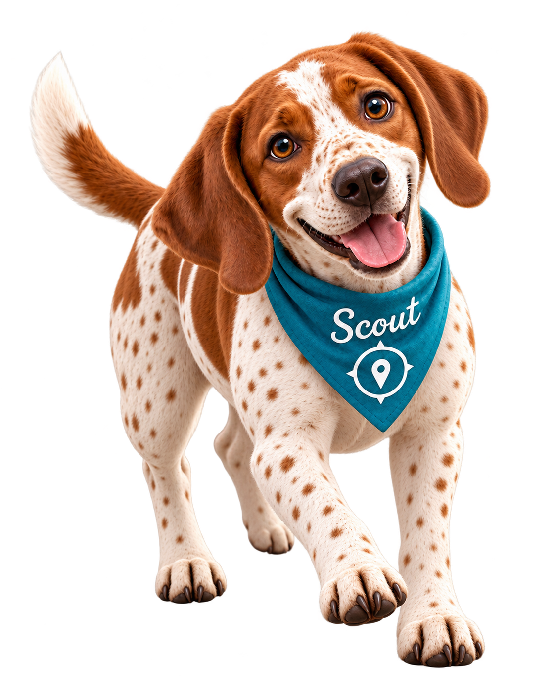 Scout the pointer dog